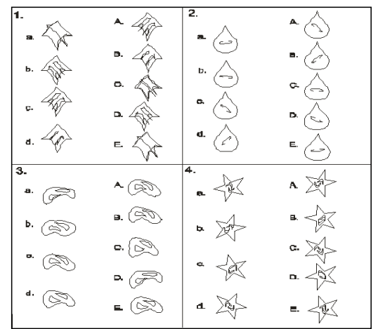 RRB ALP Psycho Test Questions Answers RRB ALP 2025 CBAT Exam_8.1